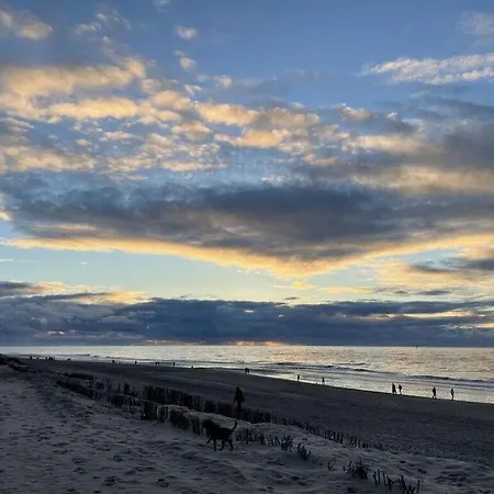 Hoppe 11 Modern Retreat Дом отдыха Вестерланд